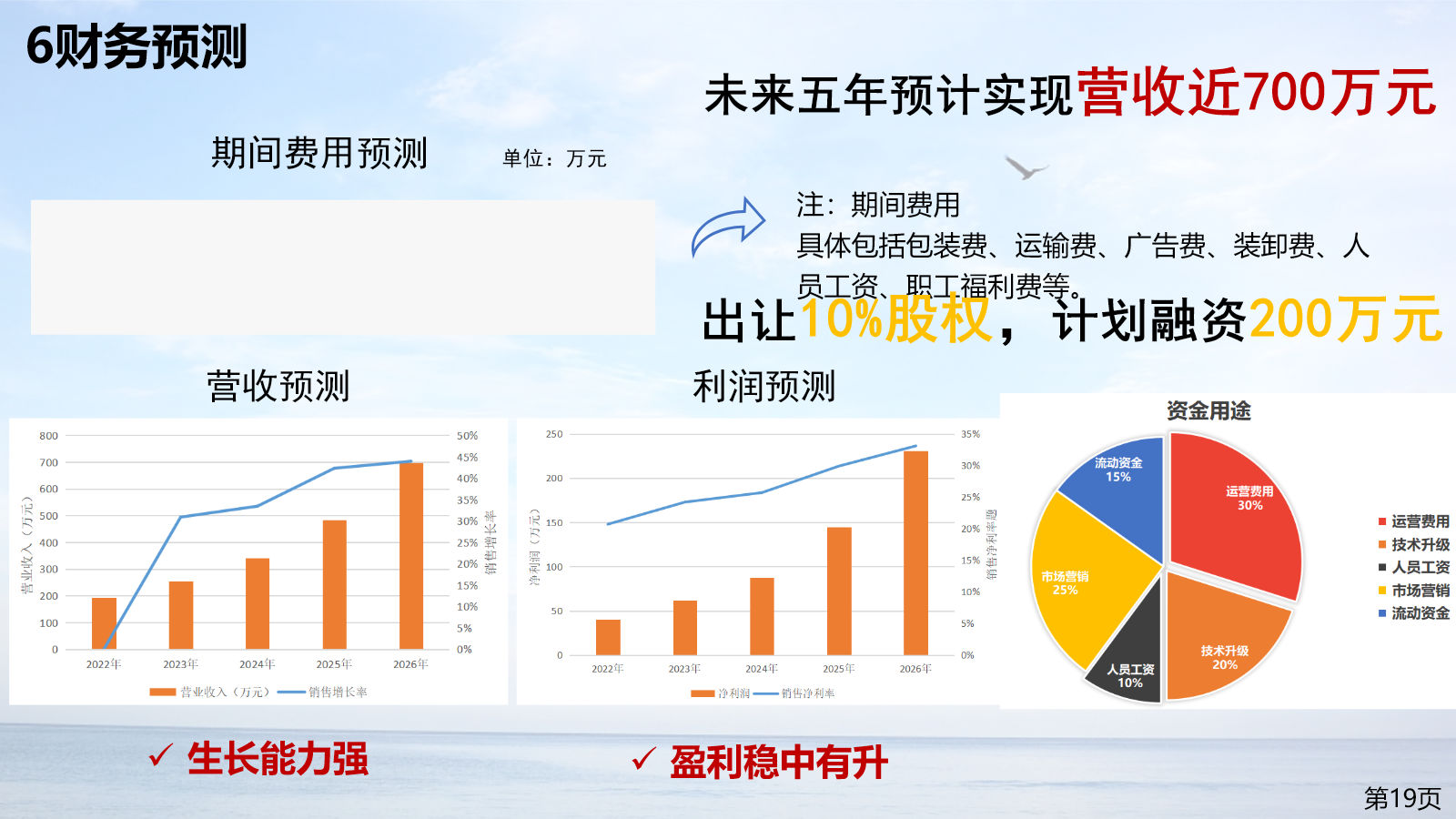 Five-year revenue and profit forecast, financing plan, and use of funds